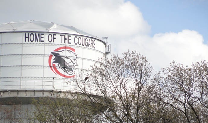 cougars cougars